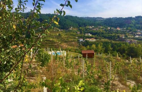 Fridao House | Discover Quinta do Pêso: Family-Friendly with Pool Access