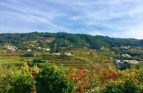 Fridao House | Discover Quinta do Pêso: Family-Friendly with Pool Access