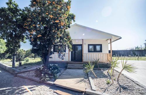 Portela House | Idyllic Quinta Do Pomar: Oceanfront Retreat with Pool