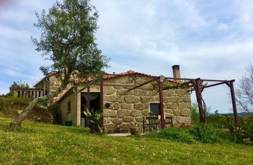 Covas House | Quinta do Sobral de São Geraldo: Pet-Friendly Retreat