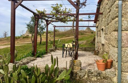 Covas House | Quinta do Sobral de São Geraldo: Pet-Friendly Retreat