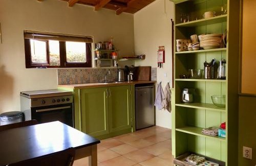 Covas House | Quinta do Sobral de São Geraldo: Pet-Friendly Retreat