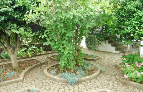 Praia da Vitoria House | Discover Quinta dos Figos: Pet and Child Friendly Haven