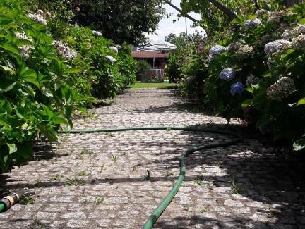 Melres House | Pet-Friendly Getaway at Quinta Drº Amarante - Rated 9.5/10
