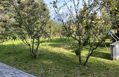 Chimborazo Province House | Discover Quinta La Paz: Family-Friendly Retreat in Chimborazo