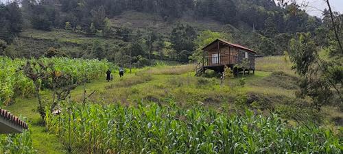 Tenza House | Quinta las Marias, Ecolodge, camping y Tiny wood house