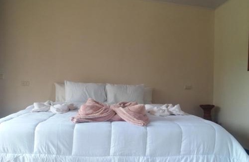 Santa Cruz de Turrialba Apartment | Guest Rated: Quinta los Volcanes with Pool & Breakfast