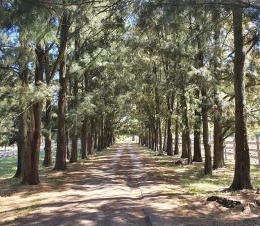 Lobos House | Quinta Maria: Guest Rated 9.1 with Pool & Pet-Friendly Perks