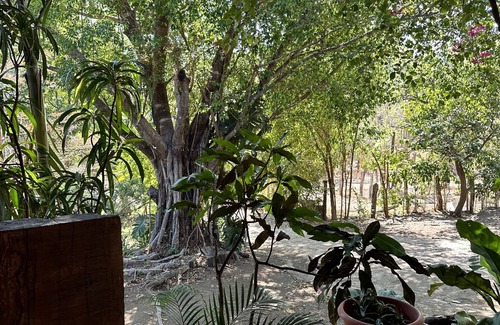 Nuevo Colon House | Quinta mi Tata B&B: Family-Friendly with Spa & Breakfast
