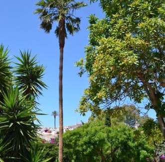 Praia da Luz Apartment | Beautiful Quinta Paraiso da Mia 2-Bedroom Apartment in Luz