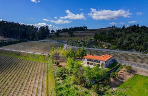 Guimaraes House | Quinta Picouto de Cima: Family-Friendly Retreat with 9.9 Rating