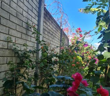 Coatepeque House | Family-Friendly Stay at Quinta San Juan Hotel Experience