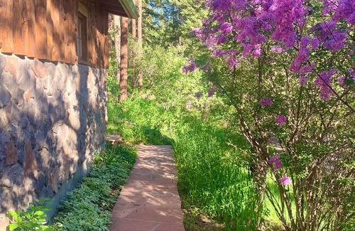 Indian Hills Cabin | Idyllic Colorado Cabin with Family & Pet-Friendly Amenities