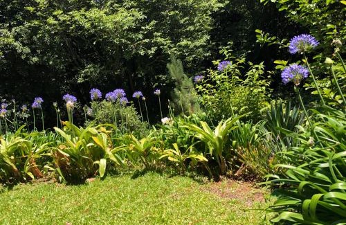 Camacha Villa | Highly Rated Quintinha de Palmyra: Pet-Friendly Retreat