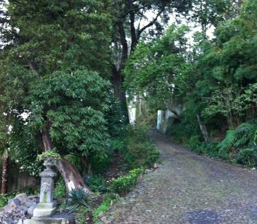 Camacha Villa | Pet-Friendly Retreat: Quintinha de Palmyra - 4 Star, Rated 10/10