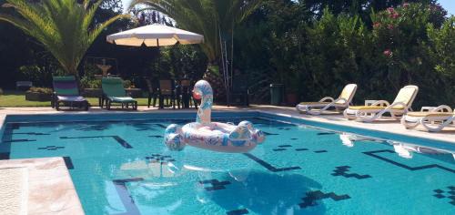 Alfandega da Fe House | Experience Quintinha dos Cedros: Rated 9.9 with Ocean Views