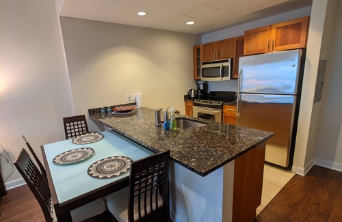 West End Apartment | Cozy 1 Bd Apt Near MGH, MIT & Harvard - Pet Friendly!
