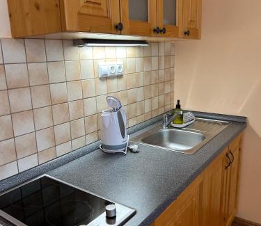 Tatranska Lomnica Apartment | Quota 850