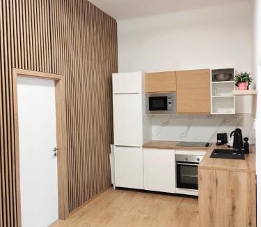 Jozsefvaros Apartment | Pet-Friendly Retreat - Home R1274 with Free Parking