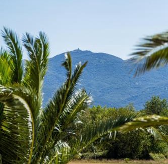 Argeles-sur-Mer Resort | Experience Oceanfront Bliss at Résidence Antinéa