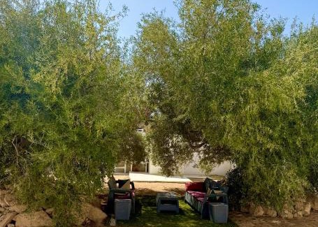 Djerba Midun Apartment | Résidence Azur Djerba