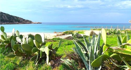 Tizzano Apartment | Cozy Résidence Fioravanti Villas with Oceanfront Views