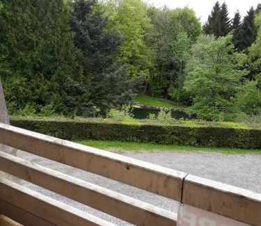 Grandfontaine Apartment | Pet-Friendly Résidence le Faucon at Col du Donon - 8.1/10