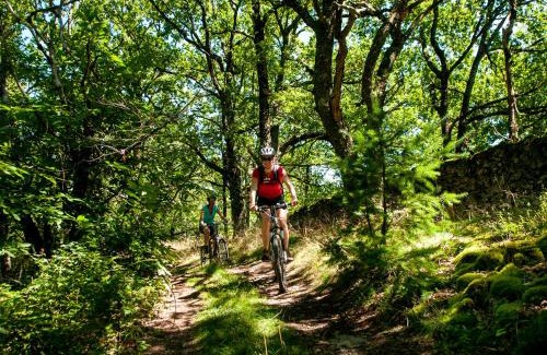 Saint-Geniez-d'Olt Apartment | Oceanfront Stay at Résidence Le Village Goélia - Rated 8.2/10