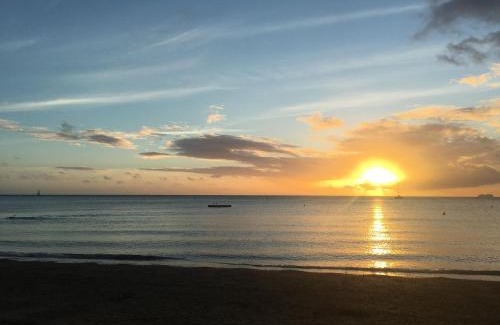 Baie des Citrons Hotel | Pet-Friendly Retreat at Résidence Marina Beach with Ocean Views