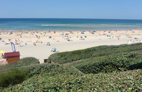 Biscarrosse Plage Apartment | Oceanfront Résidence Palombaggia with Terrace and Spa