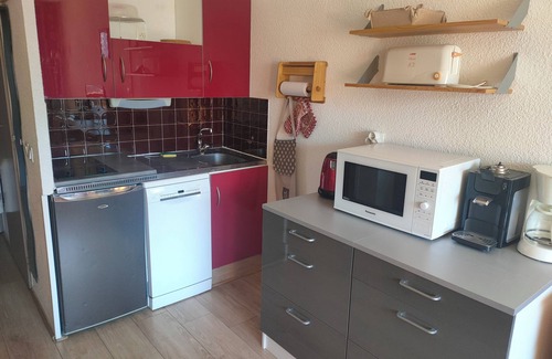 Les Deux Alpes Apartment | Discover Résidence Plein Sud: Ski In, Spa & Pet-Friendly