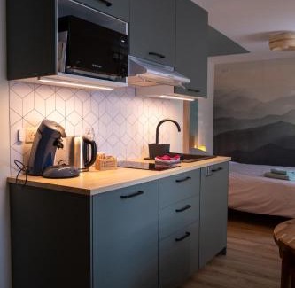 Triembach-au-Val Apartment | Discover Rêverie du Val: Pet-Friendly Comfort Awaits