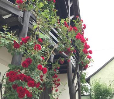 Vonyarcvashegy House | Family-Friendly Retreat at Rózsa Porta - Guest Rated 9.5