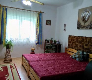 Abadszalok House | Cozy Rózsa Vendégház: Family-Friendly with Kitchen Access