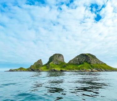 Rost Hotel | Experience Røst Bryggehotell: Pet-Friendly & Eco-Conscious Stay