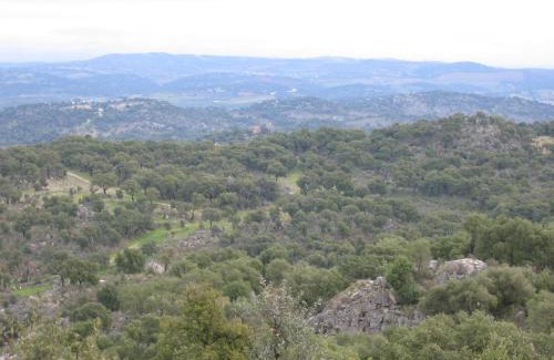 Cedaes House | Rustic Retreat for Families with Top Guest Ratings