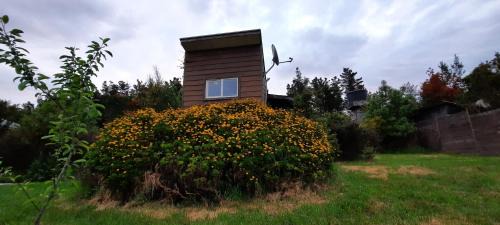 Valdivia Ski Chalet | Cozy Retreat at Rústico Punucapa: Pet-Friendly & Pool Access