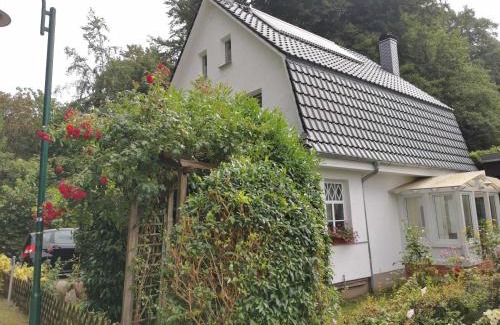 Bergen auf Ruegen Apartment | Family-Friendly Rügen Fewo 91 Buchenwinkel with Accessibility
