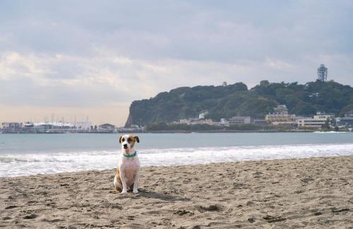 Koshigoe Apartment | Discover R.Kamakura: Family-Friendly with Hot Tub Access