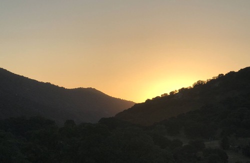 Three Rivers Cabin | R&R IN A COZY SECLUDED CABIN!