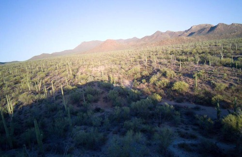 Picture Rocks House | Relax in Saguaro National Park: Pet & Child Friendly Stay