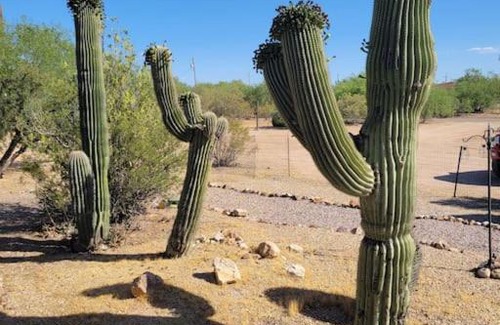 Picture Rocks House | Relax in Saguaro National Park: Pet & Child Friendly Stay