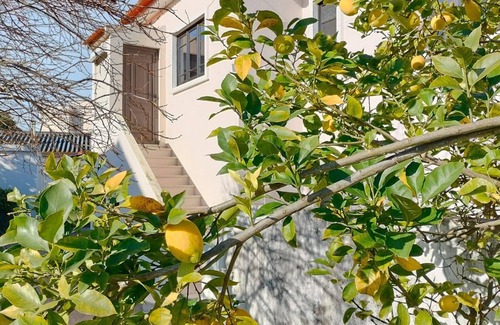 Ilhavo Villa | R3 Service Casa da Laurinha