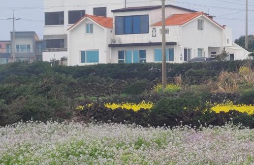 Gujwa Apartment | Pet-Friendly Getaway at Rabit Island Healing House
