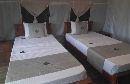 Ella Other | Radiance Ella Urban Tents