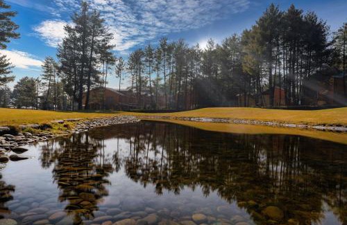Laripora Hotel | Pet-Friendly Retreat at Radisson Golf Resort Pahalgam