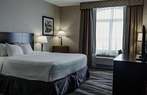 Leduc Hotel | Discover Radisson Hotel Edmonton Airport - Pet Friendly Haven
