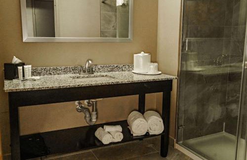 Leduc Hotel | Discover Radisson Hotel Edmonton Airport - Pet Friendly Haven