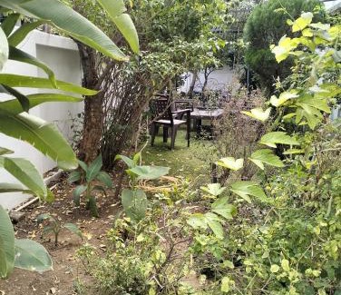 Nagpur House | Pet-Friendly Raen Basera Home Stay for Family Getaways