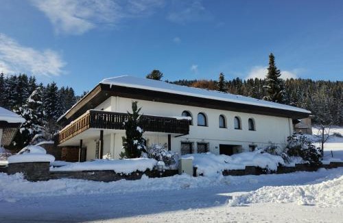 Obdach Villa | Pet-Friendly Rafael Kaiser Residence Privée in Spielberg Obdach